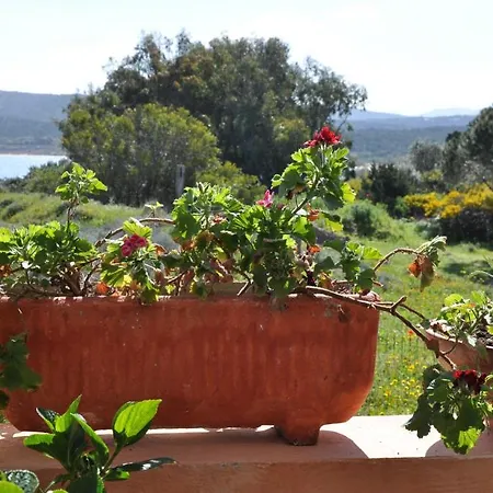 Le Dune Hotel Porto Pollo